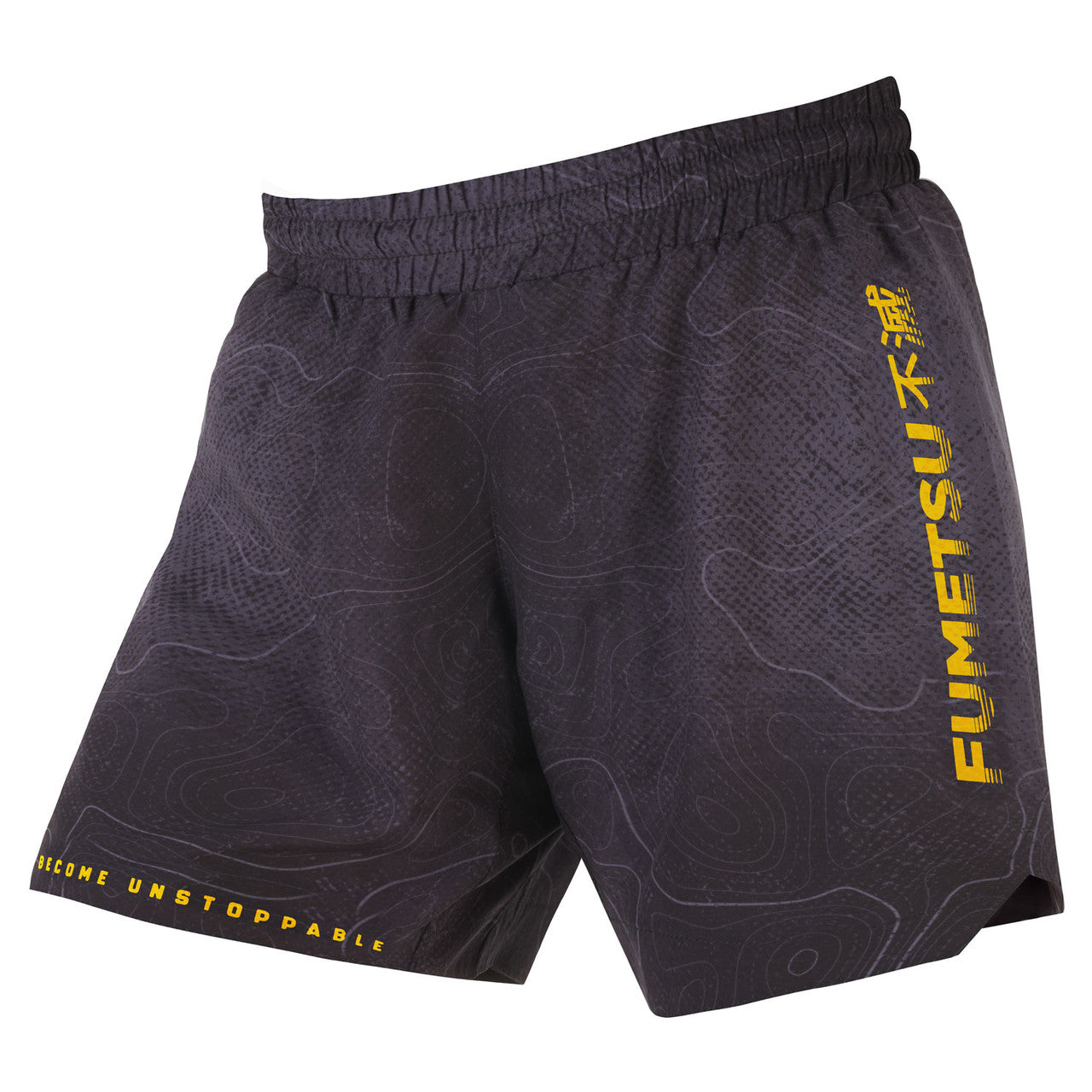 Arc V-Lite Fight Shorts Black Gold